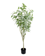 160cm Blue Gum Tree Green