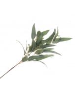 Eucalyptus Nicolii Spray 84cm Green