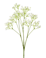 Gypsophila Spray White 68cm