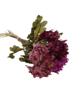 Vintage Strawflower Bundle 30cm Mauve