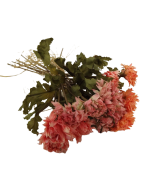 Vintage Strawflower Bundle 30cm Peach