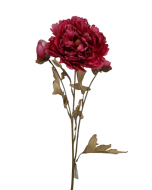 Vintage Oriental Peony Spray Fuchsia