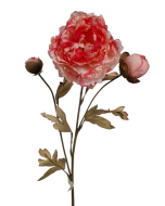 Vintage Oriental Peony Spray Light Pink