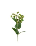 Hypericum 72cm Cream/Green