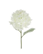 Snowstorm Hydrangea 69cm