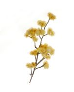 Echinops Spray - Yellow (68cm long)