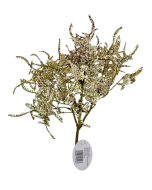 Limonium Bush Cream (45cm) Cream