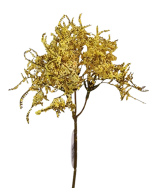 Limonium Bush Cream (45cm) Yellow