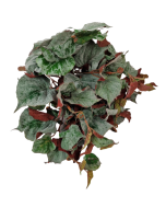 Flocked Autumn Maple Ivy Bush