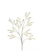 Sea Lavender (Statice) Spray 79cm Cream