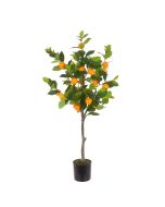 Orange Tree In Pot 94cm
