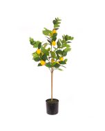 Lemon Tree In Pot 92cm