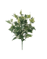 48cm Variegated Ivy Bush