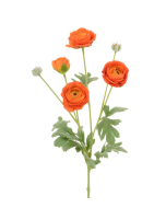 ECO Ranunculus Spray 67cm Orange