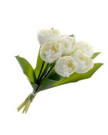 Bi-Coloured Double Tulip Bundle - White (6 heads, 40cm long)