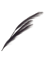 82cm Pampas Grass (Artificial) Spray Purple