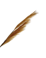 82cm Pampas Grass (Artificial) Spray Copper