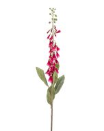 Digitalis Spray Fuchsia 120cm
