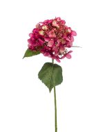 Hydrangea Spray Fuchsia 50cm