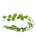 120cm Caladium Garland Green/Yellow