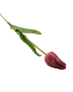 50cm Tulip Pink