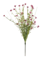 Meadow Werbena 48cm - Pink