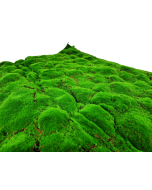 100cm Artificial Moss Tile - Green (100cm x 100cm)