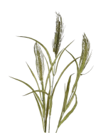 Artificial Wheat Spray - Green (78cm long, 3 heads)