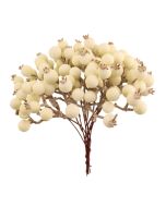 14cm Snowberry Bundle Cream