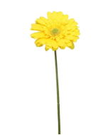 Single Gerbera 72cm Yellow