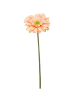 Single Gerbera 72cm Peach