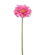 Single Gerbera 72cm Beauty