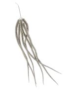 Artificial Glittered Amaranthus - Gold (82cm long)