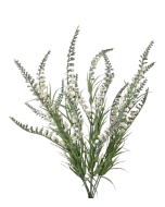 54cm Cream Salvia Bush