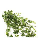 183cm Outdoor Variegated Artificial Ivy Trailing Bush WR
