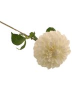 75cm Ball Dahlia White