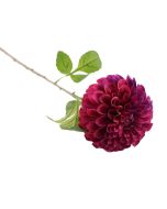 75cm Ball Dahlia Purple