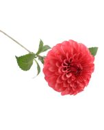 75cm Ball Dahlia Pink
