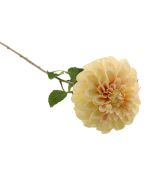 75cm Ball Dahlia Peach