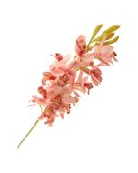 83cm Cymbidium Orchid Spray Pink