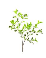 Mini Ficus Real Touch Var 98cm Variegated