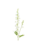 Larkspur Spray 85cm White