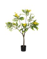 Sunshine Tree 94cm