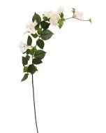 Artificial Bougainvillea Spray - Green & White (120cm long)