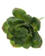 Artificial Succulent - Echeveria 10cm Green