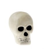 14cm Skulls - Natural (14cm, 6 pcs per bag)