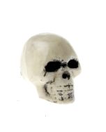 7cm Skulls - Natural (7cm, 12 pcs per bag)