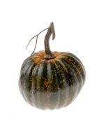 Small Green Pumpkin (13x15cm)