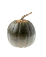 Green Appalachian Pumpkin (15x19cm)