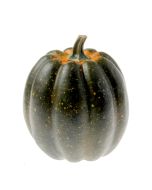 Large Green Appalachian Pumpkin (24x25cm)
